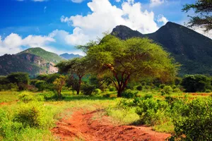 Craciun 2025 - Share a Trip Kenya - Safari Tsavo & Diani Beach, 10 zile