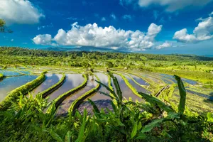 Revelion 2026 - Circuit Kuala Lumpur, Ubud & plaja Bali, Indonezia 12 zile