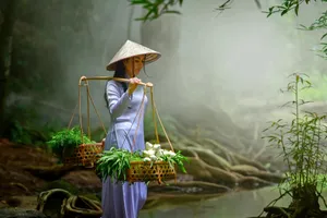 Share a trip - Circuit Vietnam, 11 zile - octombrie 2026