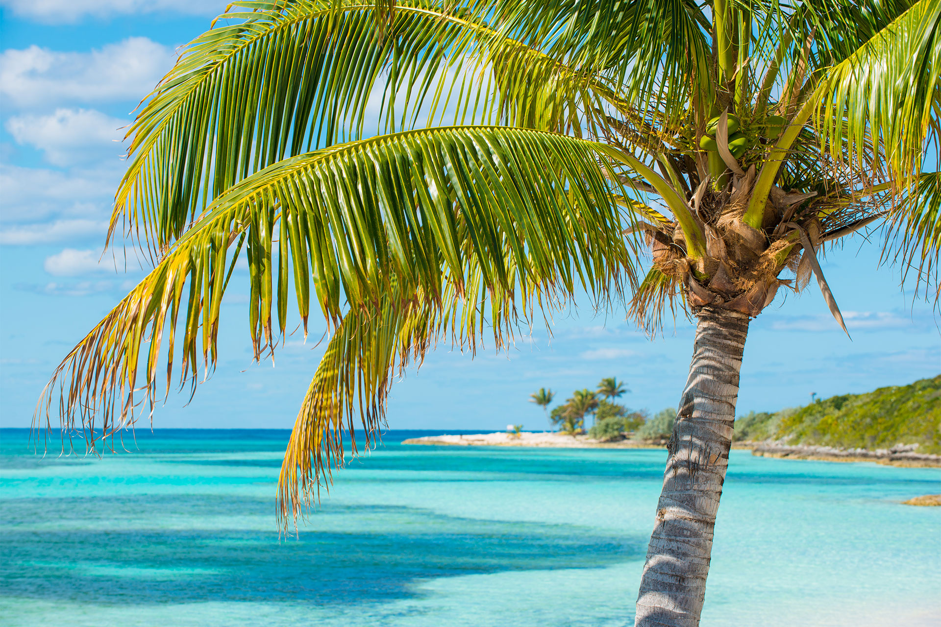 Valentine's day - Sejur Miami & Croaziera Caraibe, Legend of the Seas, 12 zile, februarie 2027