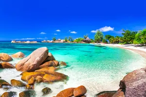 images/product/9841e034-0b55-4ac2-beeb-992ff242985d/57ae030ea2e2ddfe181da63d6f949a6c/original_1.jpg