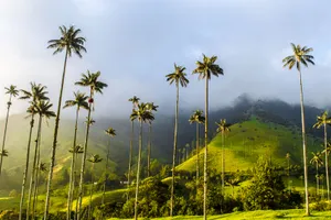 Paste 2026 - Circuit de grup - Essential Columbia, 12 zile