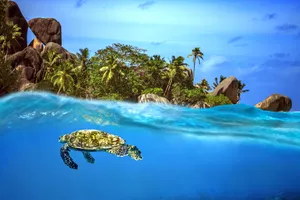 Explore Praslin & Mahe, Seychelles