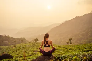 Circuit de grup - Wellness program in Kerala, India, 13 zile - august 2026 cu Catalina Pavel