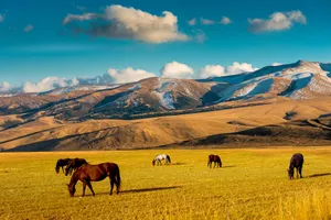 Grup Classic Kazakhstan & Kyrgyzstan - 11 zile, septembrie 2027