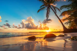 Sejur plaja Majestic Resorts Punta Cana, Republica Dominicana, 10 zile