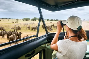 Share a trip Kenya - Safari Tsavo & plaja Diani Beach, 9 zile - iulie 2026