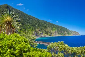 Sejur charter Madeira, Portugalia, 8 zile - 22 iulie 2026