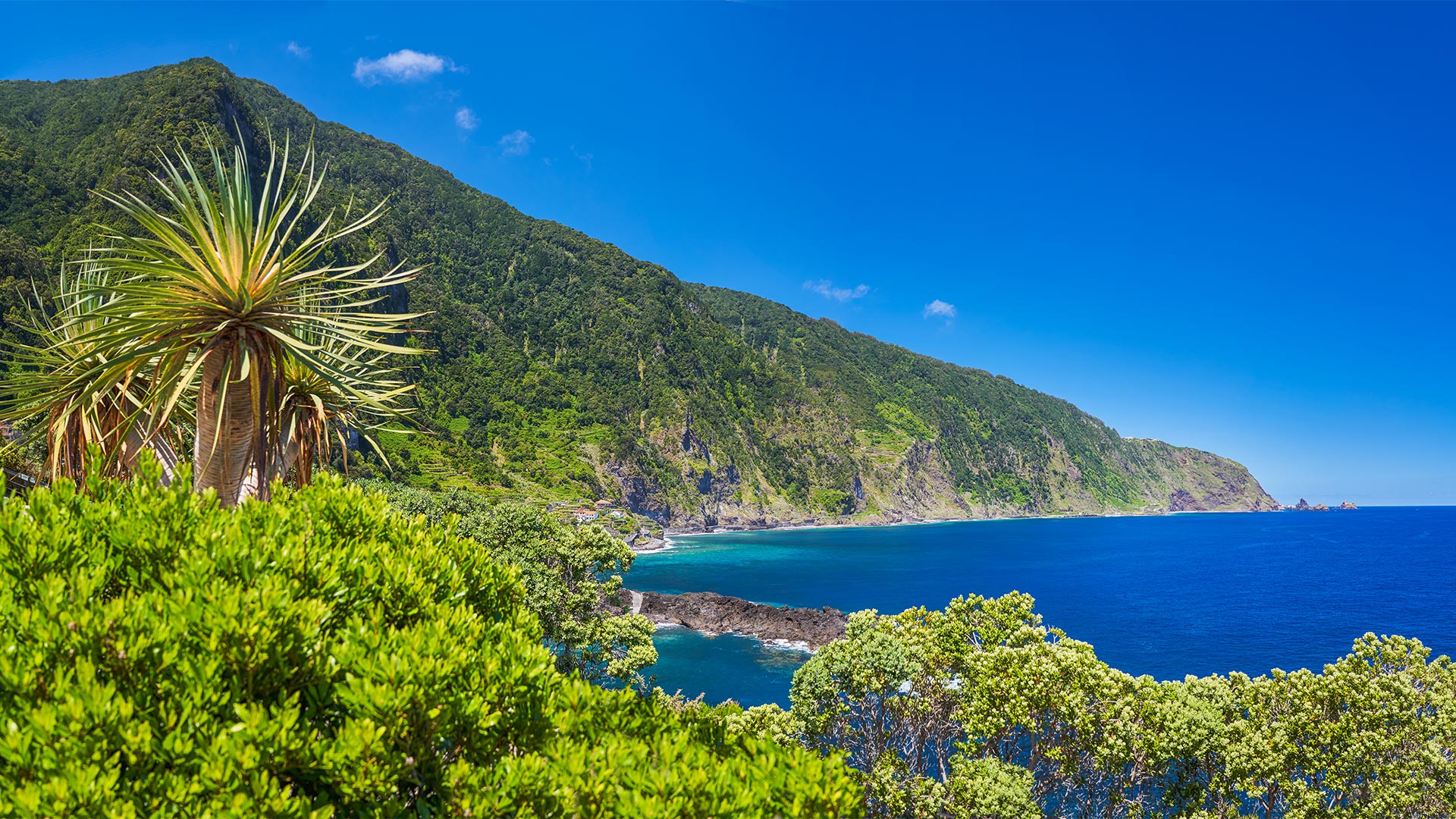 Sejur charter Madeira, Portugalia, 8 zile - 23 iulie 2025 - ultimul loc disponibil