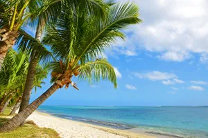 Sejur plaja Mauritius, 10 zile - 26 ianuarie 2022