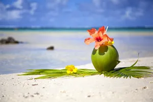 Sejur plaja Mauritius, 10 zile - august 2022