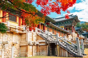 Circuit Coreea de Sud - grup international