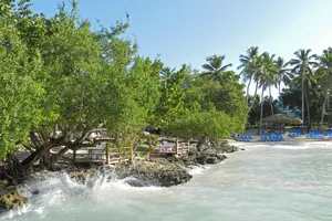 images/product/a732cb84-2c06-47d4-bd83-146f186b723d/ea2aadd75e06cb1f7adcc3544b67f81b/original_0.jpg