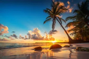 Revelion 2027 - Explore Punta Cana, Republica Dominicana