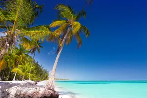 Sejur plaja Punta Cana, Republica Dominicana, 9 zile - 5 iulie 2021