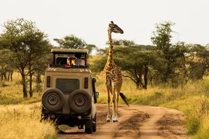 Share a Trip Tanzania - Safari & plaja Zanzibar, 10 zile - octombrie 2026
