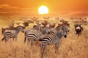 Grup Classic Tanzania & plaja Zanzibar, 11 zile - iulie 2027