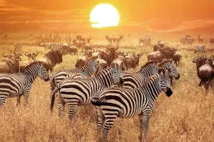 Grup Classic Tanzania & plaja Zanzibar, 11 zile - iulie 2027