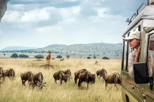 Share a Trip - Safari Tanzania & plaja Zanzibar, 10 zile