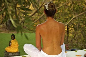 Wellness & Spa - Stress Management Program at Ananda, India