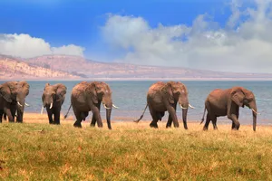 Circuit de grup - Experience Zimbabwe, 12 zile - aprilie 2026