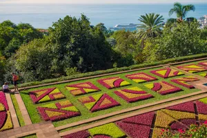 Sejur charter Madeira, Portugalia, 8 zile - 8 iulie 2026