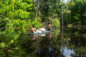 Circuit de grup - Experience Brazilia & jungla amazoniana, 15 zile - august 2026 - cu Gratian Urcan