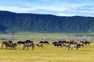 Circuit de grup - Discover Tanzania & Kenya, 12 zile, august 2023 - cu Casandra Archip