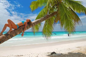 images/product/c4a846fc-e6a2-4d75-9ad4-2a62add5775b/eb7cdf63ec1317e89ce750b58e1cac27/original_3.jpg