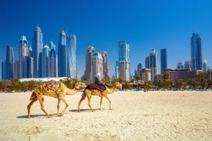 Explore Dubai & Seychelles