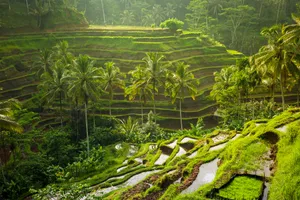 Instagram Tour Singapore & Bali, 12 zile, mai 2023
