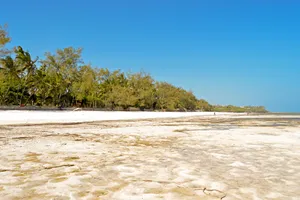 Sejur plaja Bamburi Beach, charter Kenya, ianuarie 2026