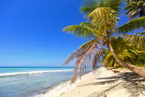 Sejur plaja Punta Cana, 11 zile - august 2022