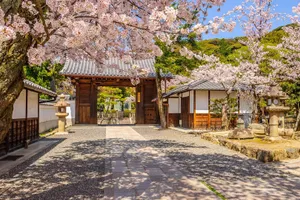 Circuit de grup - Sakura - Sarbatoarea ciresilor infloriti din Japonia, cu Razvan Pascu & Roberta Trifu, 12 zile - 19 martie 2026