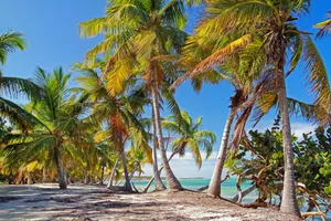 Sejur plaja Punta Cana & La Romana, 12 zile - octombrie 2022