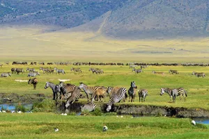 Family Experience Safari Tanzania & plaja Zanzibar, 11 zile - cu Cosmin Stan