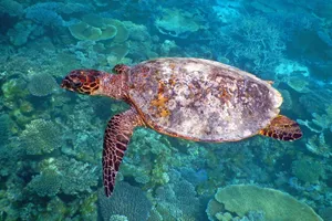 Sejur Singapore & plaja Maldive, 12 zile - iunie 2023