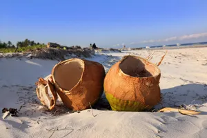 Sejur charter Bamburi Beach & Tsavo Est, Kenya, 9 zile - decembrie 2021