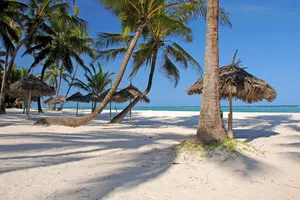Oferta zilei - Sejur plaja Diani Beach, Charter Kenya, 9 zile, ianuarie