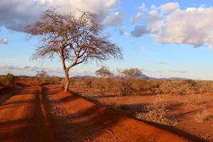 Share a Trip Kenya - Safari Tsavo & Diani Beach, 9 zile, iulie 2023