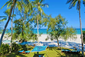 Revelion 2026 - Sejur plaja Diani Beach, Charter Kenya, 9 zile