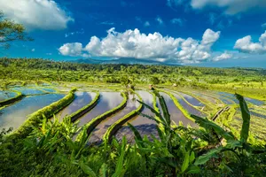 Sejur Ubud & plaja Bali Sud,10 zile - septembrie 2022