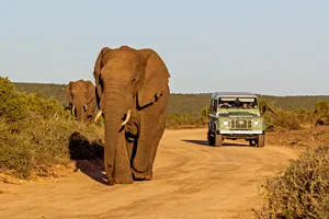 Circuit de grup - Experience Africa de Sud, Garden Route, 14 zile - iulie 2026