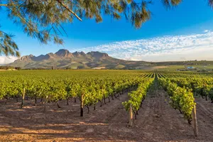 Share a Trip - Classic Africa de Sud, Cape Town & Winelands - februarie 2027