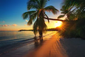 Sejur plaja La Romana & Punta Cana, 11 zile - august 2022
