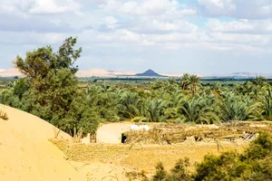 Adventure Egipt - Baharia Oasis