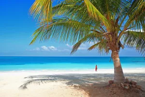 Oferta de weekend - Sejur plaja Bamburi Beach, charter Kenya, 24 ianuarie 2027
