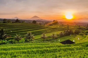Sejur Ubud si plaja Bali Sud, 10 zile - august 2026