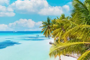 Sejur plaja Punta Cana, Republica Dominicana, 9 zile - februarie 2026