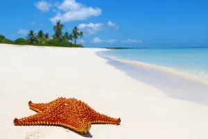 Sejur plaja Varadero, Cuba, 11 zile, noiembrie 2022